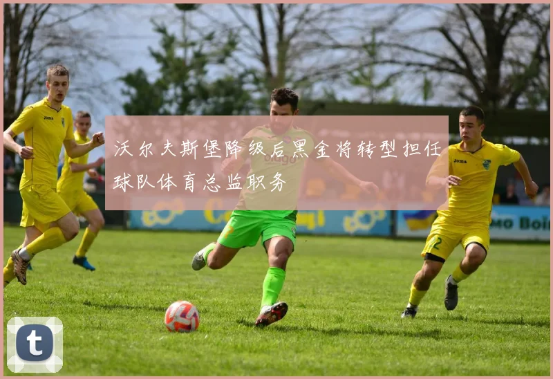 沃尔夫斯堡降级后黑金将转型担任球队体育总监职务