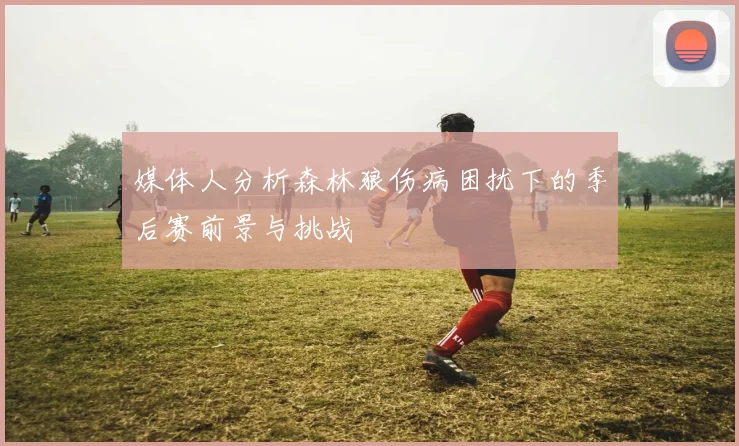 媒体人分析森林狼伤病困扰下的季后赛前景与挑战